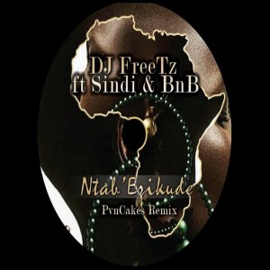 DJ FreeTz feat. Sindi & BnB - Ntab' Ezikude (PvnCakes Remix), new south african afro house music, tribal house music, afro deep house