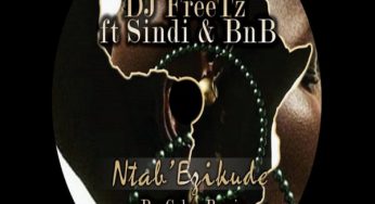 DJ FreeTz feat. Sindi & BnB – Ntab’ Ezikude (PvnCakes Remix)