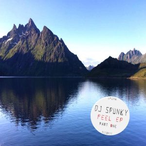DJ Spunky - Feel EP, Pt. 1