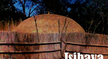 IQ Musique – Isibaya