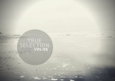 VA - True Selection Vol.05