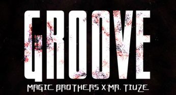 Magic Brothers & Mr. Tiuze – Groove (Original Mix)