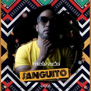 Dj Malvado feat. Robertinho & Vado Poster - Sanguito (Afro Mix), angola afro house musica, afro house 2018, download afro house songs mp3
