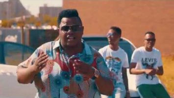 Dladla Mshunqisi ft DJ Target no Ndile - Cothoza (Official Music Video) &bull; Download MP3