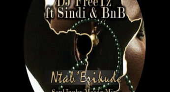 DJ Freetz – Ntab’ Ezikude (SoulJunky Moody Remix)