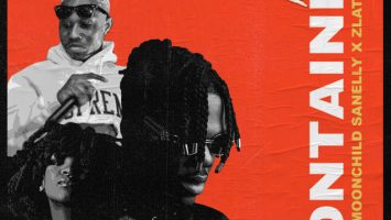 Ckay feat. Moonchild Sanelly & Zlatan - Container (Remix)