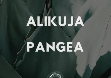 Alikuja - The Scientist Yaaquub