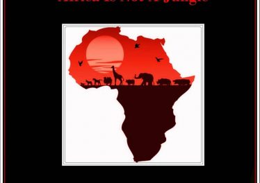 Blaq Owl - Africa Is Not A Jungle (Original Mix)