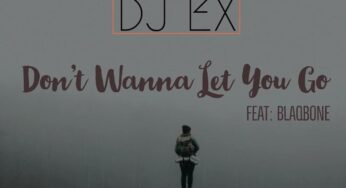 DJ EX – Don’t Wanna Let You Go (feat. Blaqbone)