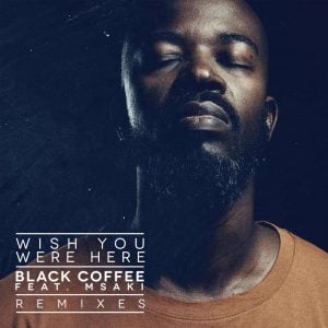 Black Coffee feat. Msaki - Wish You Were Here (Remixes), latest house music, house music 2019 download mp3, download new afro house music, south african house music
