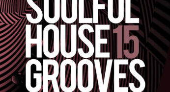 VA Soulful House Grooves, Vol. 15