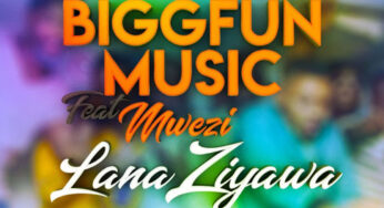 BiggFunMusic – LanaZiyawa (Original Mix)