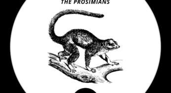 KaySoul – The Prosimians (Dark Art Dub)