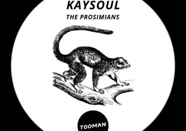 KaySoul - The Prosimians EP, deep house sounds, new deep house music, deephouse 2019, latest south african deep house music