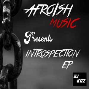 Dj Kaz - Introspection EP