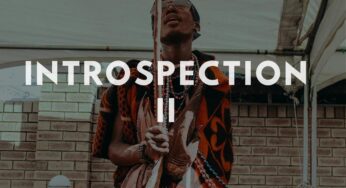 VA – Introspection Part II