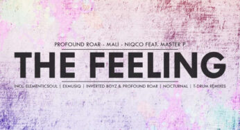 Profound Roar, Mali, Niqco & Master P – The Feeling (The Remixes)