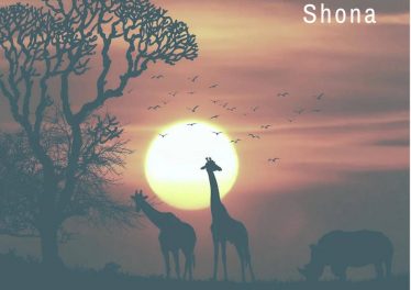 Shona SA - African Heritage (Original Mix)