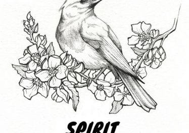 VA - Spirit Night