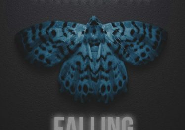 Tribesoul & Dzo - Falling (Original Mix)