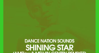 Dance Nation Sounds, Zethe – Shining Star (Original Mix)