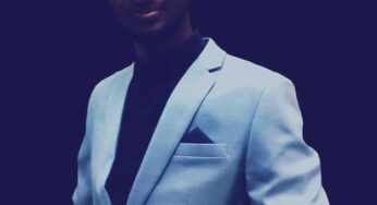 Brown Ice – Imitation (Album)