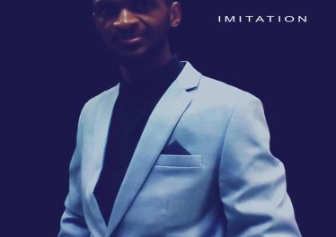Brown Ice - Imitation (Album)