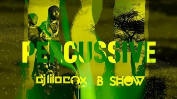 DJ Lilocox & B Show - Percussive (Original Mix)