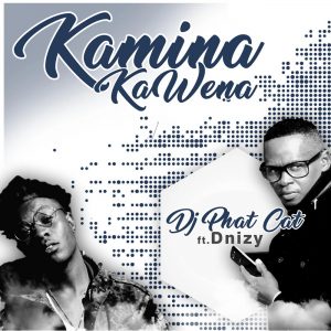 DJ Phat Cat - Kamina Kawena (feat. Dnizy)