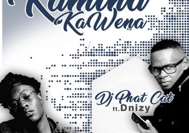 DJ Phat Cat - Kamina Kawena (feat. Dnizy)