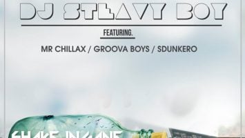 DJ Steavy Boy - Shake Ingane (feat. Mr. Chillax, Groova Boys & Sdunkero)