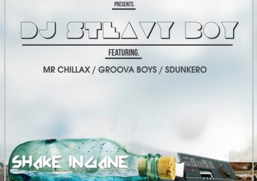 DJ Steavy Boy - Shake Ingane (feat. Mr. Chillax, Groova Boys & Sdunkero)