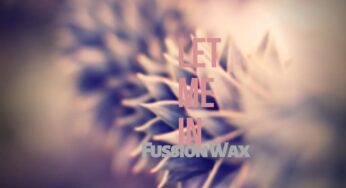 Fussion Wax – Let Me In