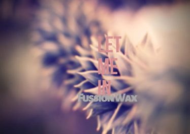 Fussion Wax - Let Me In