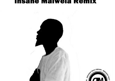 Irie Drums - The Light (Insane Malwela Remix)