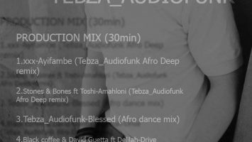 Tebza Audiofunk - Underground Afro 2019 Mix