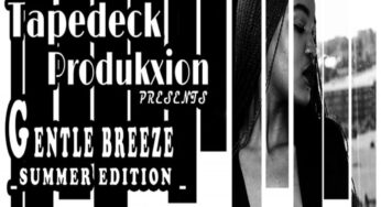 Walkman feat. Carol – Gentle Breeze (Summer Edition)