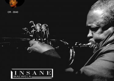 Insane Malwela - Tribute to Hugh Masekela (Broken Hearth Mix)