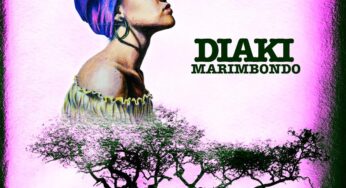 Diaki – Marimbondo (Original Mix)