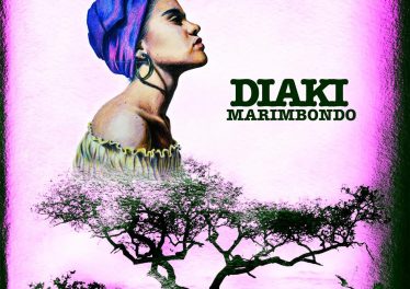 Diaki - Marimbondo (Original Mix)