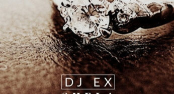 DJ Ex – Shela (Extended Mix)