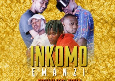 Drummer Boyz feat. Dj Innovator & Deezil Spigadoro - Inkomo Emanzi
