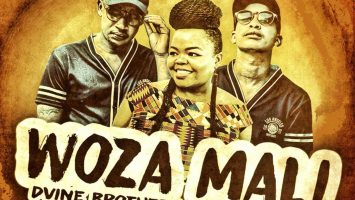 Dvine Brothers Ft. Nokwazi - Woza Mali