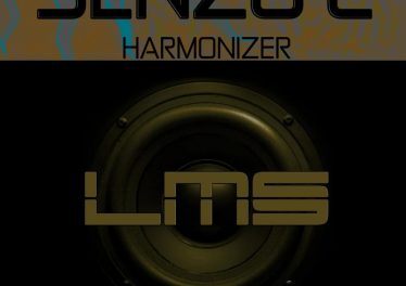Senzo C - Harmonizer
