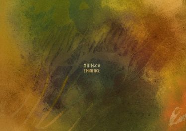 Shimza - Warrant for Arrest new afro house music, latest sa music, afro tech, house music download, south african afro house, afrohouse songs, afro house 2019 download mp3, tecno, tech house music