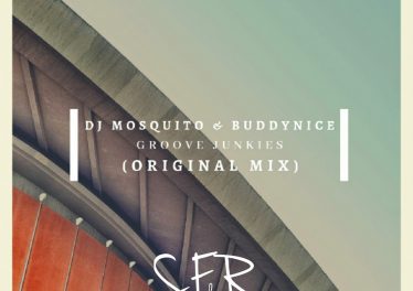DJ Mosquito & Buddynice - Groove Junkies, new deep house music, deep house 2019