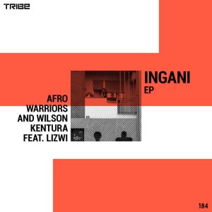 Afro Warriors & Wilson Kentura, Lizwi - Ingani, new afro house music, angola afro house, afro house 2019 download, latest afrohouse songs, house music download, afro house mp3 download, afro tech