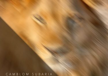 Camblom Subaria - Soul Of Africa EP, latest house music, deep house tracks, house music download, south african deep house, latest south african house, new sa house music, funky house, new house music 2019, best house music 2019, durban house music, afro house music, new house music south africa, afro deep house, tribal house music, best house music, african house music