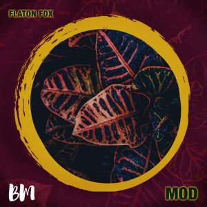 DJ Flaton Fox - MOD EP