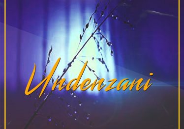 Dlala Lazz - Undenzani (feat. Peace), new sa music, new south african gqom songs, gqom 2019 download mp3, new gqom music, afro house songs, sa afro house music